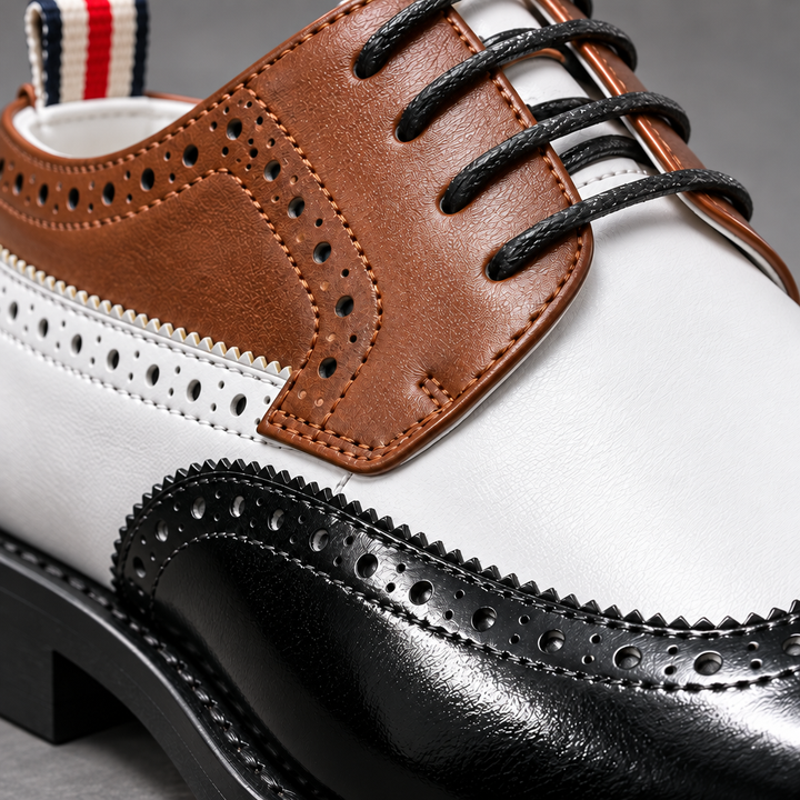 Macro — extreme close-up — Black/white/brown colour-blocked wingtip panels